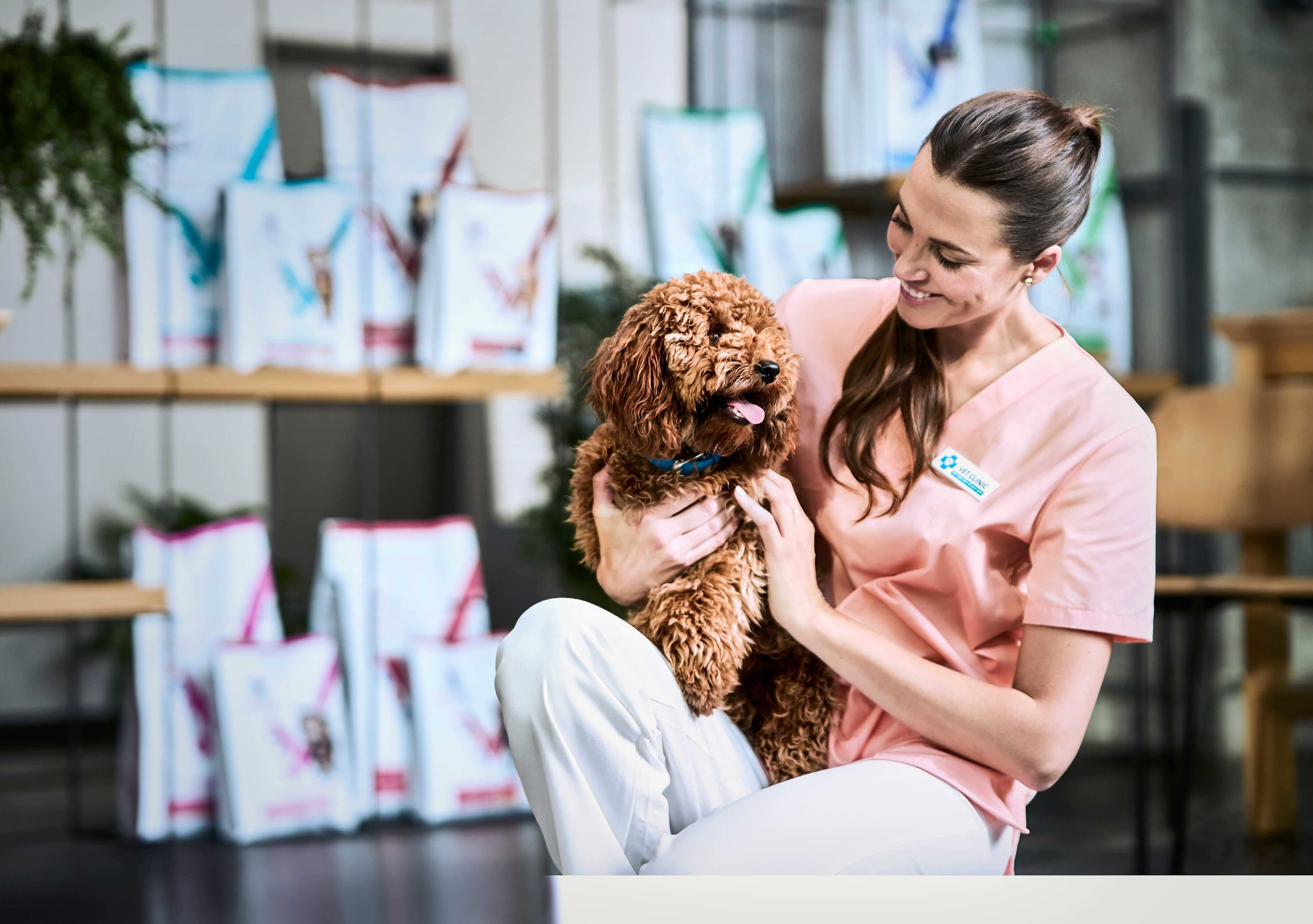 Kočka sahá po misce na jídlo