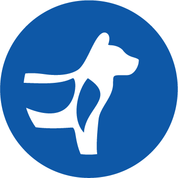 Ikona podpora kostí a kloubů