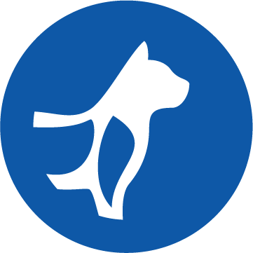 Ikona podpora kostí a kloubů