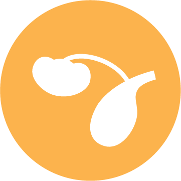 ikona zdraví močových cest