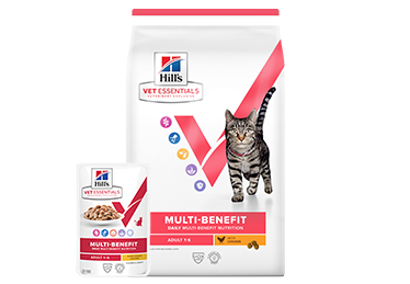 Hill’s Vet Essentials krmivo pro dospělé kočky